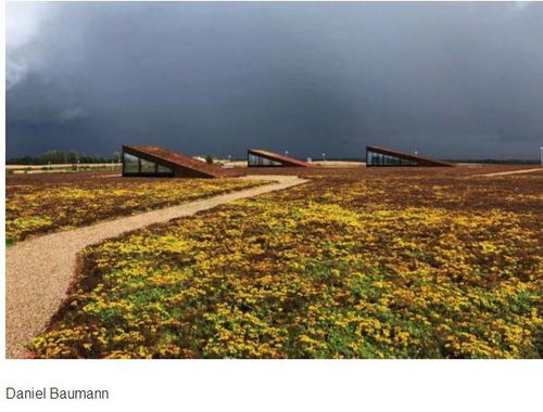 丹麥北部水處理廠景觀設計 功能與美學的和諧共生